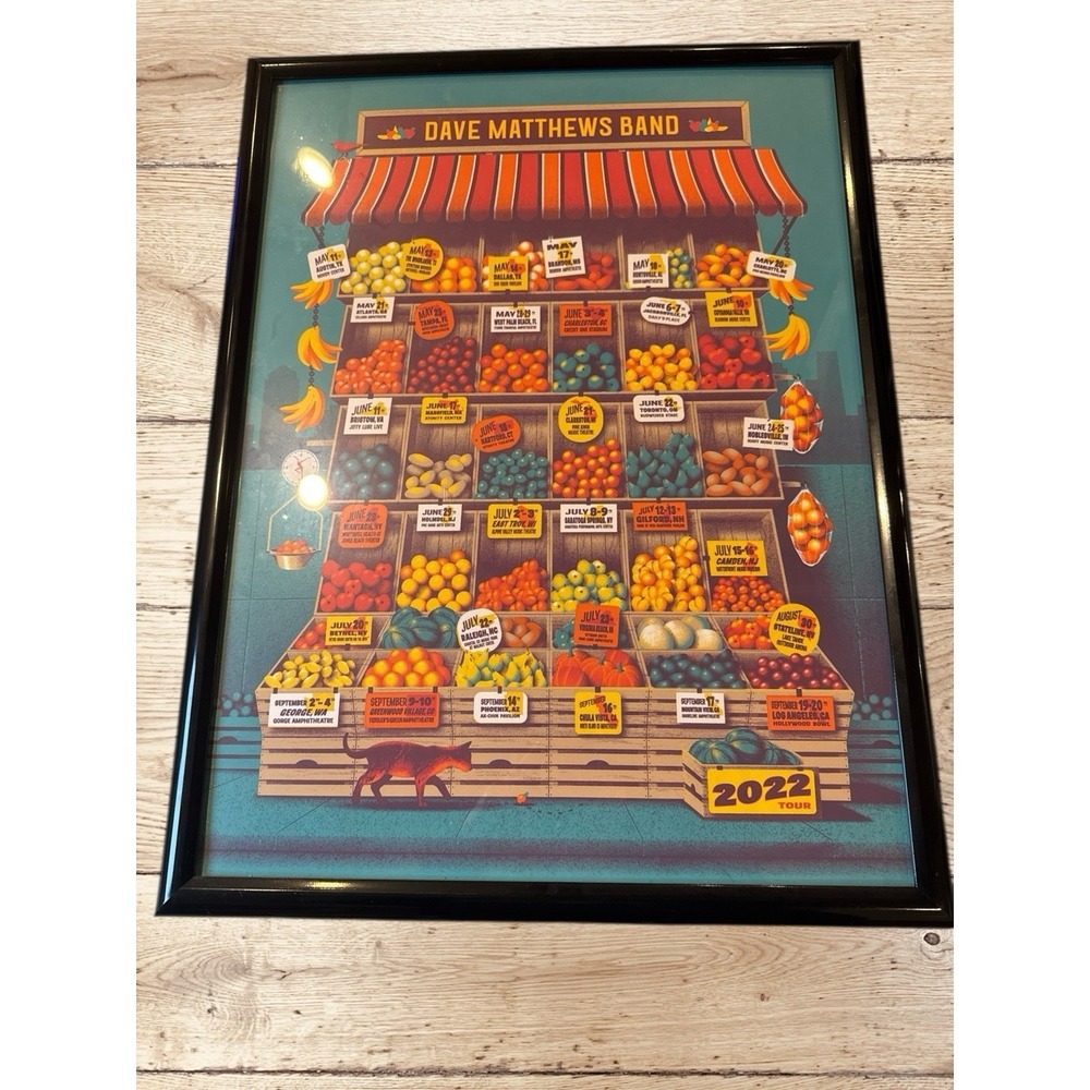 Dave Matthews Band Poster SUMMER TOUR 2022 DMB Dave and Tim DKNG Framed Rare